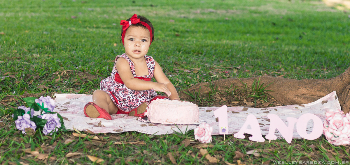 1 aninho parque bolo mão