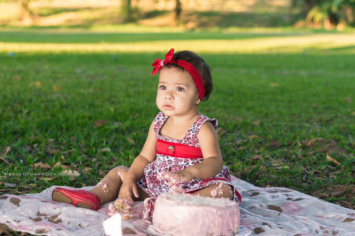 smash the cake bolo