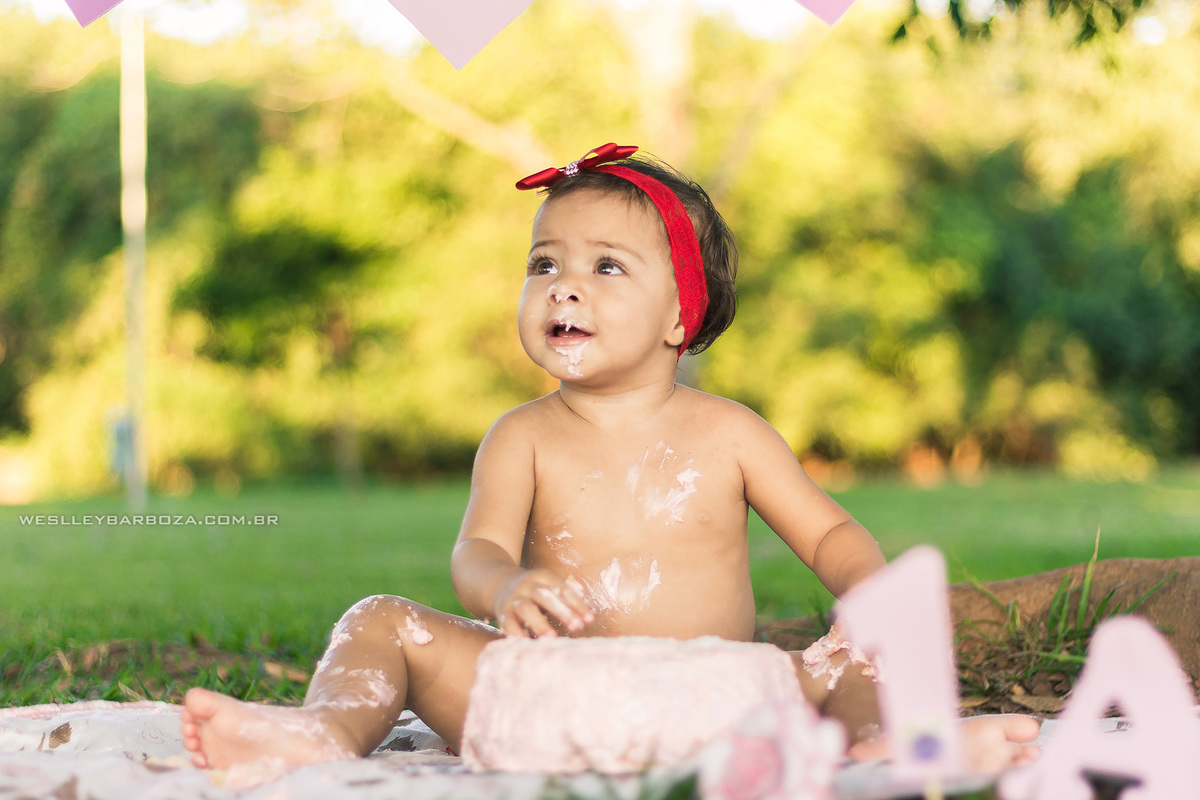 infantil ensaio smash cake