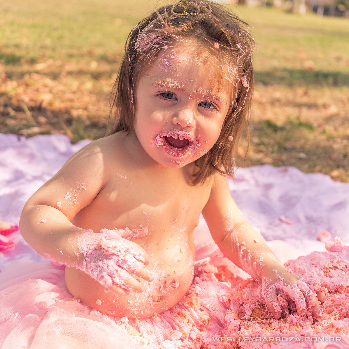 smash the cake hortolandia sorriso parque