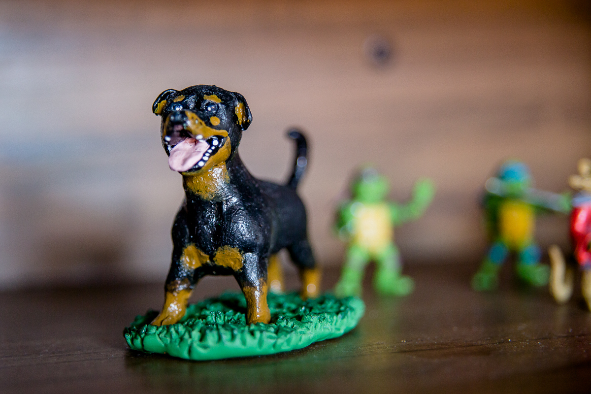 Ensaio realizado em casa. Fotos espontâneas, de chinelo e sem maquiagem. Teve até pet no ensaio!! O cafezinho estava gostoso.