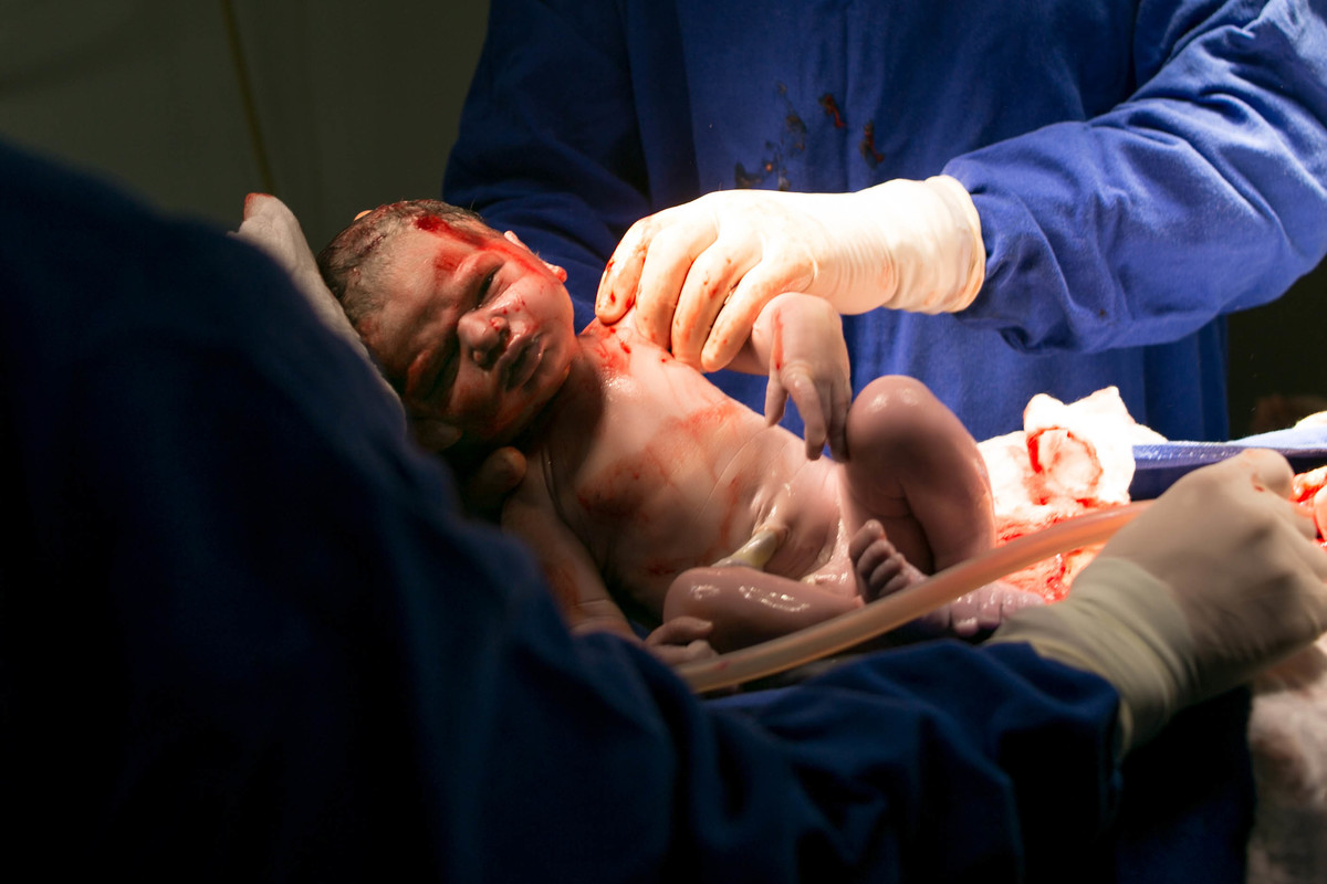 Imagem capa - Nascimentos por Carolina Cardoso