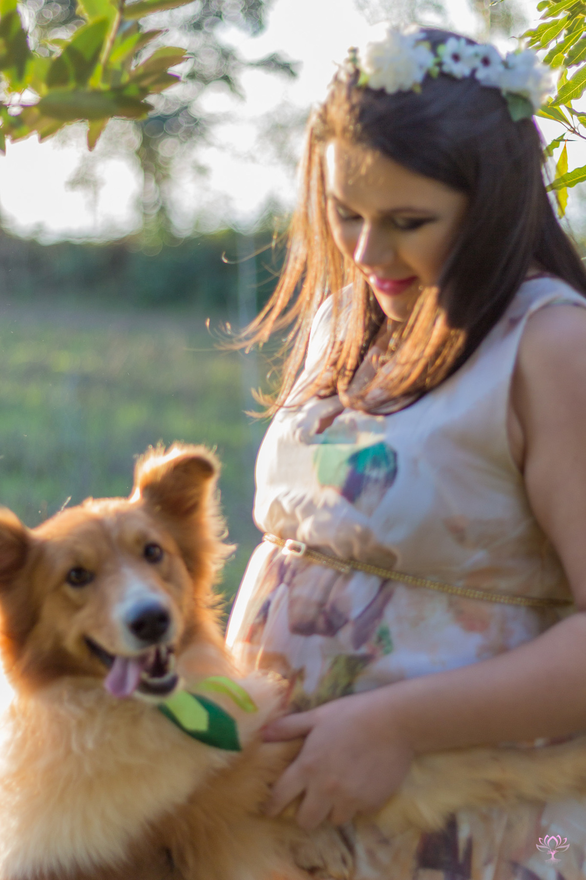 gestante com o cachorro