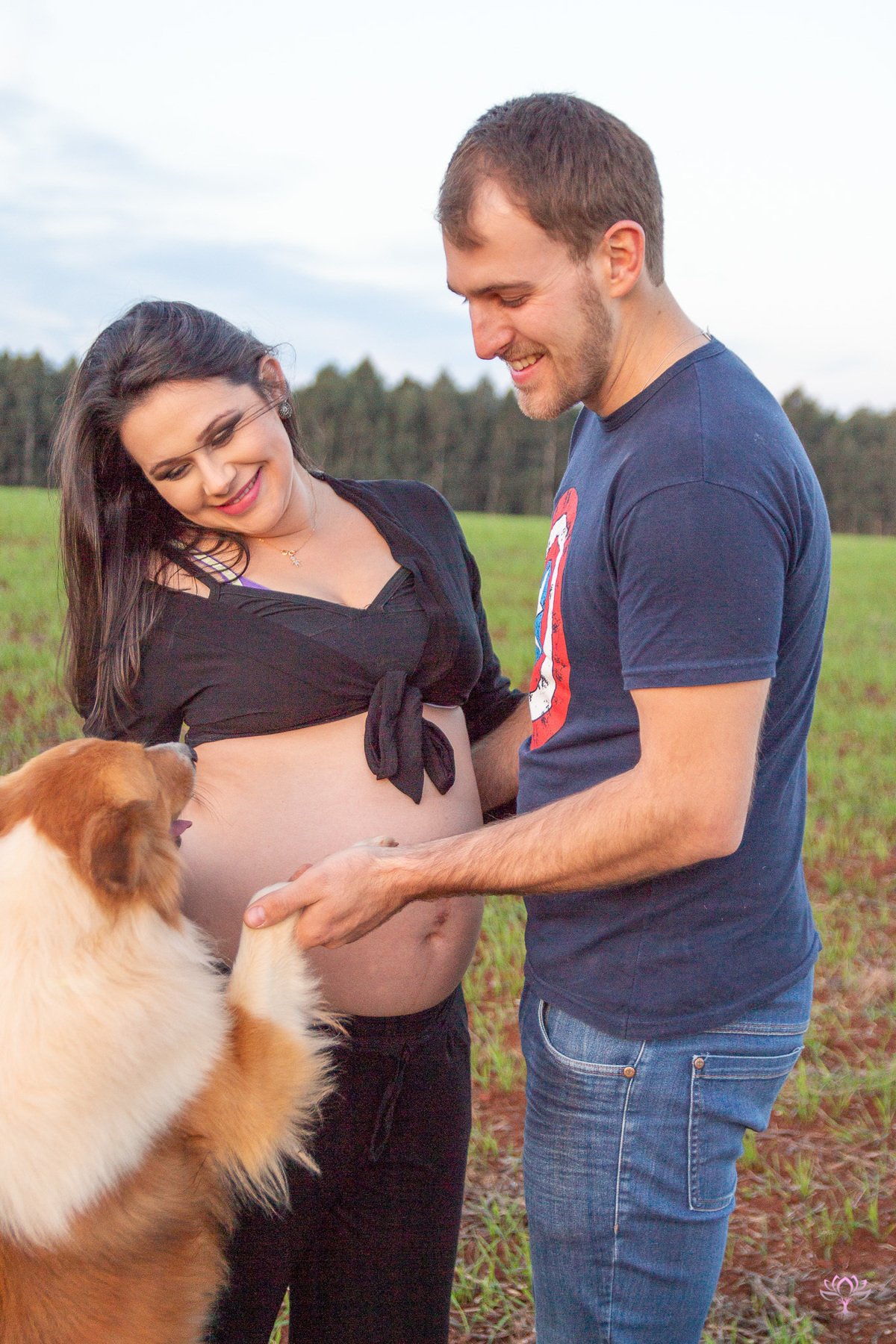 cachorro pulando nos donos