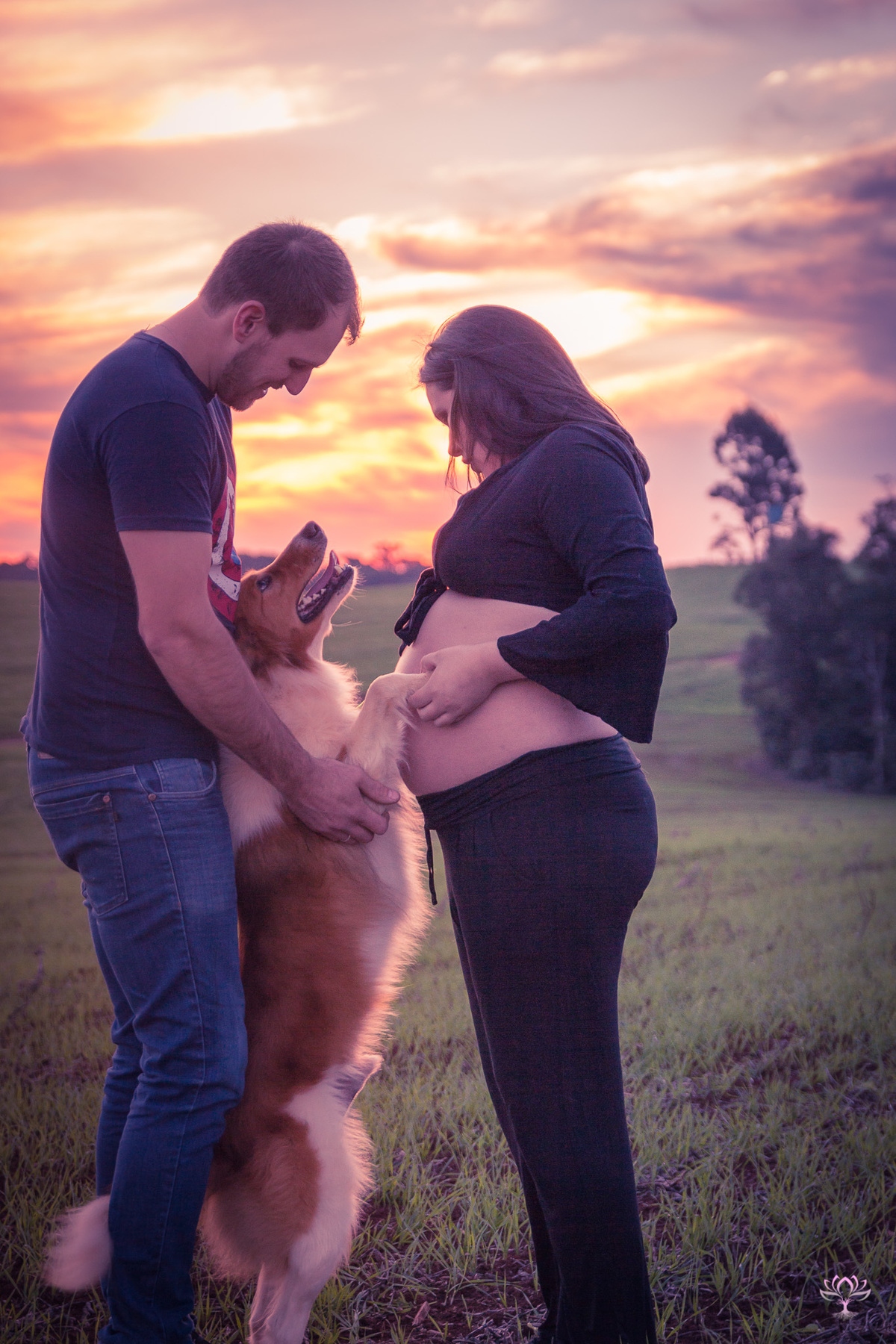 cachorro brincando com os donos no por do sol