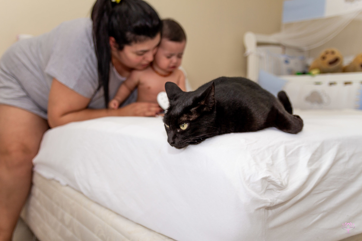mamãe, bebê e o gato da família na cama