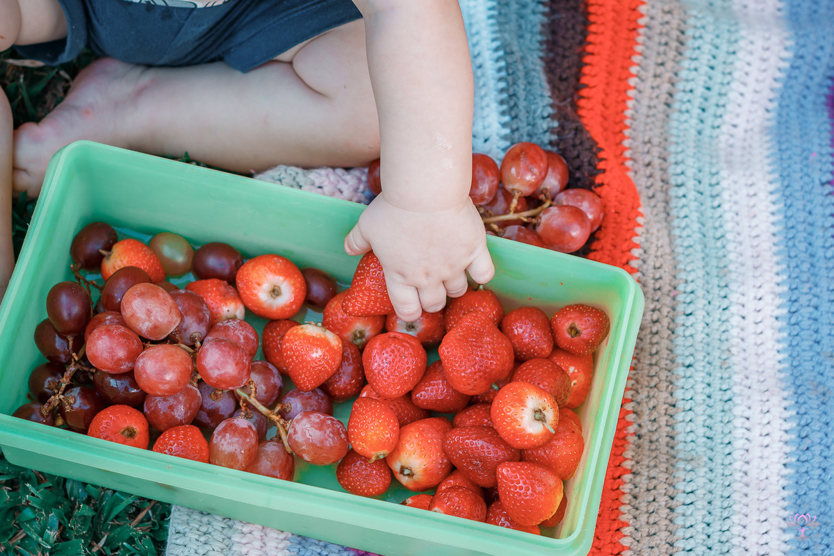 bebê com a mão na bacia de morangos