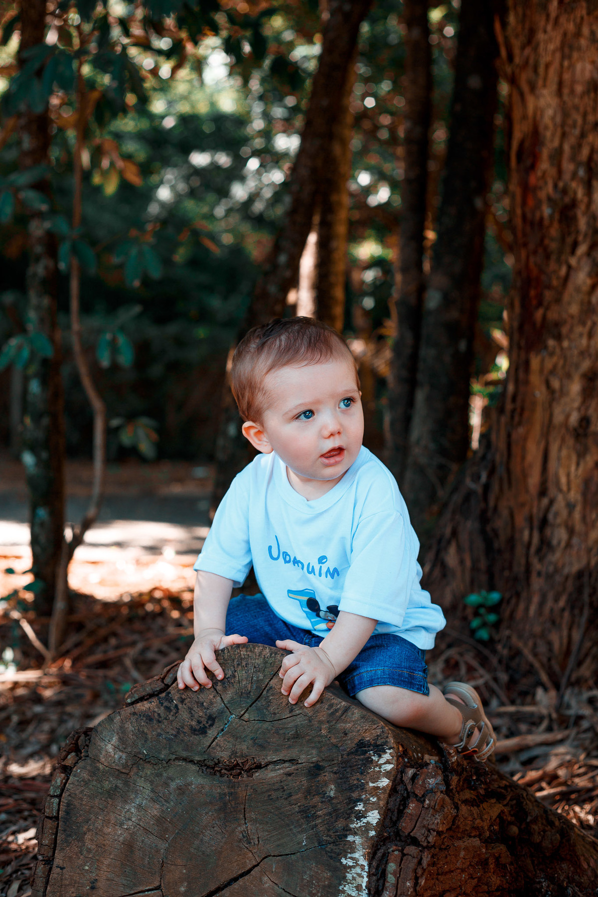 bebê sentado no tronco de uma arvore
