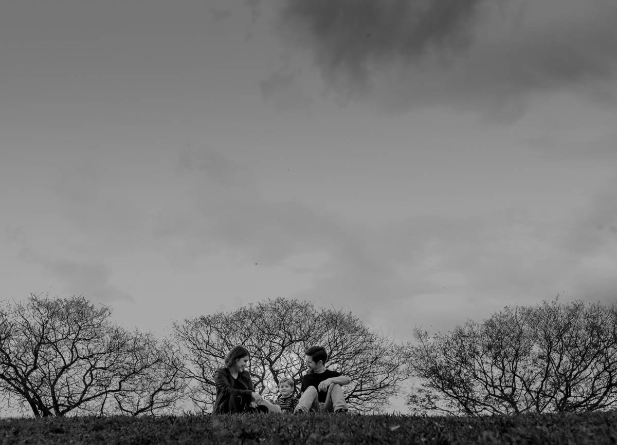 família sentado na grama ao fundo três arvores