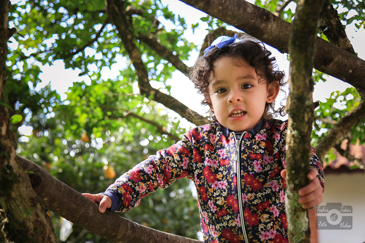 Laís-3-anos-sessão-de-fotos