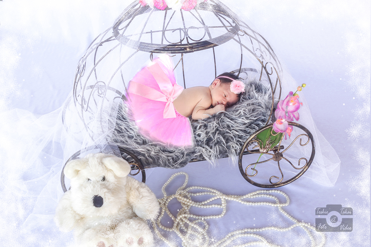 carruagem de princesa-Lorena