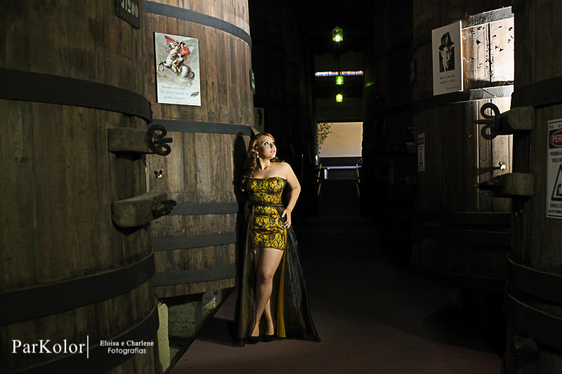 Parkolor fotografias
Gravataí, Glorinha, Santo Antônio
15 anos, ensaio externo,hotel rustico, vestidos, look, paisagem, make, filmagem, drone, foto