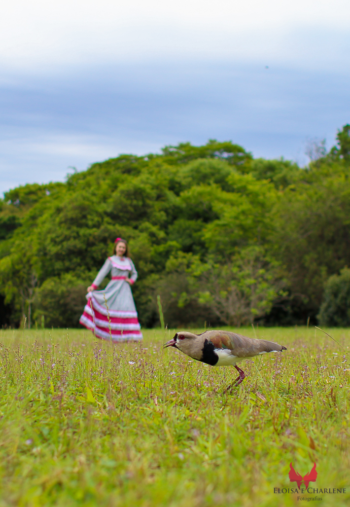 Parkolor fotografias
Gravataí, Glorinha, Santo Antônio
15 anos, ensaio de 15 anos, vestido de prenda, quero quero na foto