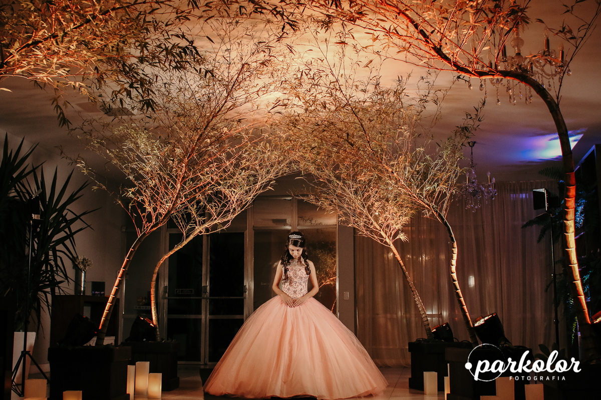 Iluminação de 15 anos no salão rosa dos ventos, vestido de 15 anos rosa, fotografia Parkolor