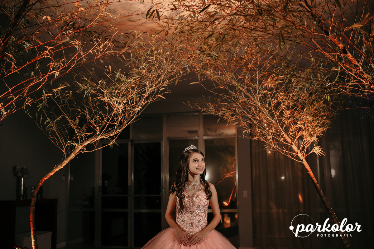 fotografo Parkolor no salão rosa dos ventos, menina de 15 anos vestido longo na decoração delicada