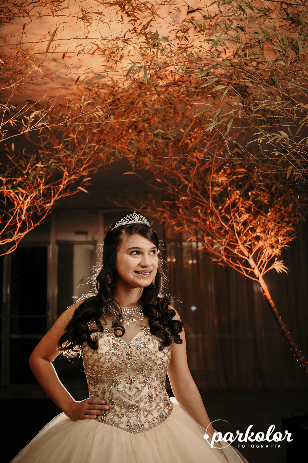 fotografia profissional de 15 anos no aniversario 