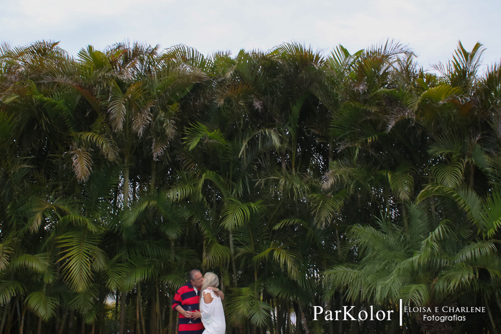 Parkolor fotografias
Gravataí, Glorinha, Santo Antônio
casamento, evento, bodas de ouro, vestido de noiva, decoração, família, filmagem, drone, foto
