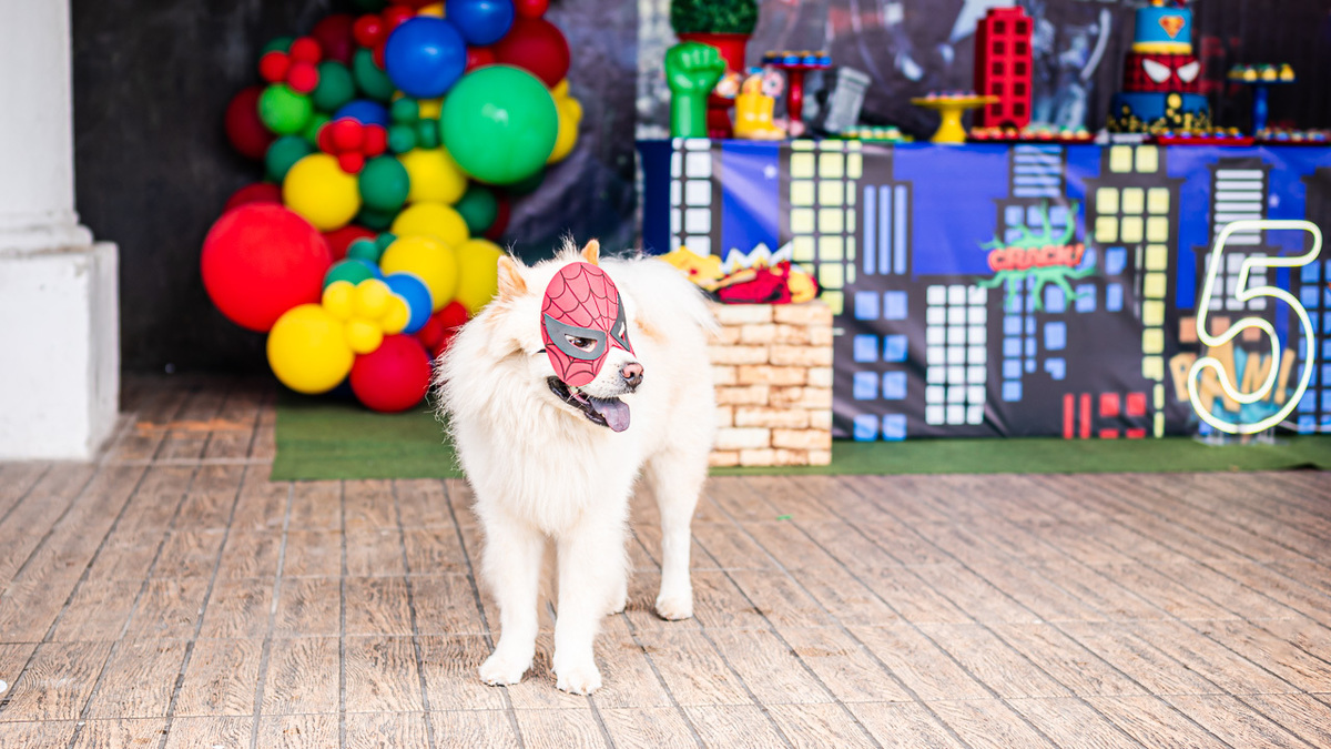 Fotos de Aniversário no Paiva | Theo e David |
@silvanacamelofotografia, © Silvana Camelo Fotografia, 5 Anos, 2023, Aniversário Infantil, Aniversário, Brasil, Casa Branca do Paiva, Comemoração, Família, Festa, Fotógrafo, Fotógrafa em Recife, Theo e David