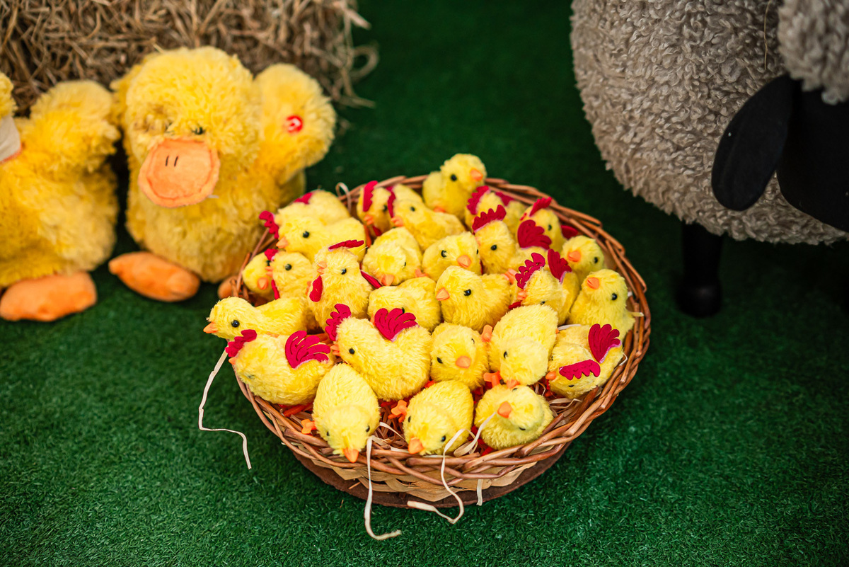 Fotos de Aniversário em Recife | Lucas |
@silvanacamelofotografia,
© Silvana Camelo Fotografia,
2025,
Aniversário Infantil,
Boa Viagem,
Brasil,
Comemoração,
Família,
Fazendinha,
Fotógrafa,
Fotógrafo,
Fotógrafo em Recife,
Lucas,
Mundo Jatão Buffet,
Recife