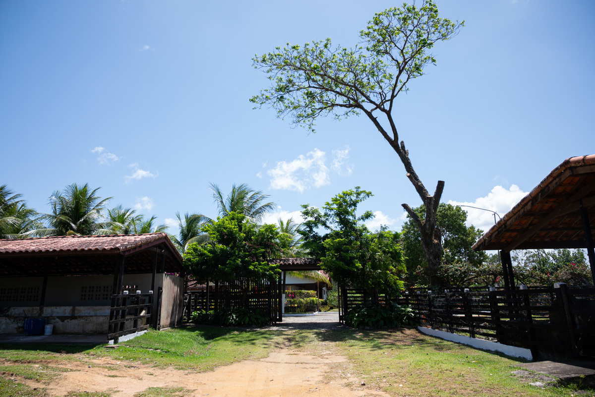 Fotos do Chá de Bebê em Recife | Carla |
@silvanacamelofotografia,
© Silvana Camelo Fotografia,
2025,
Brasil,
Chá de Bebê,
Comemoração,
Ensaio Gestante,
Família,
Fazenda Asa Branca,
Festa,
Fotógrafo,
Fotógrafo em Recife,
Gestante,
Guabiraba,
Recife