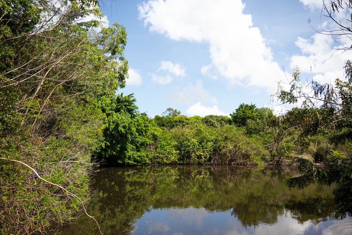 Fotos de Aniversário em Recife | Daniel e Rafael |
@silvanacamelofotografia,
© Silvana Camelo Fotografia,
2 Anos,
2026,
Aniversário,
Aniversário Infantil,
Brasil,
Celebração,
Comemoração,
Família,
Festa Infantil,
Fotógrafo em Recife,
Obra de Maria,
Recife