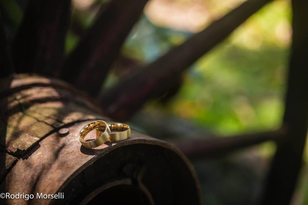 as alianças em cima de tronco de arvore na Casuarinas no RJ