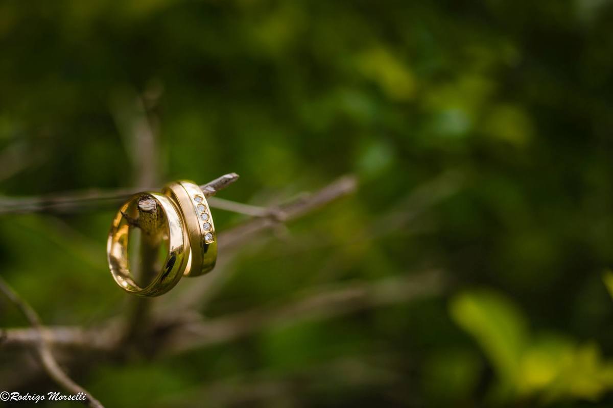 as alianças embelezando a natureza
