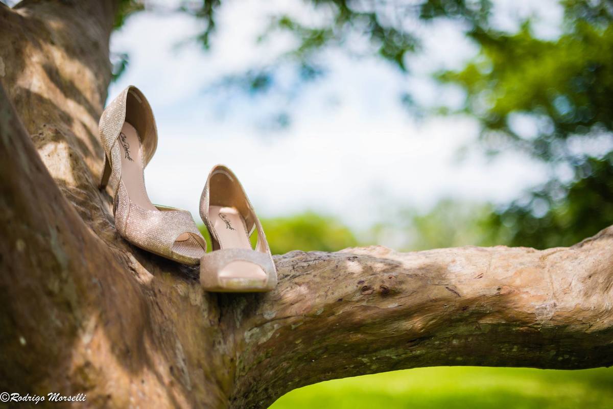 os sapatos da noiva na arvore