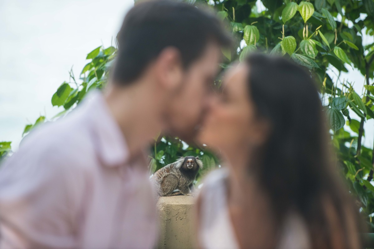 casal beijando sob os olhos atentos de um mico leão dourado