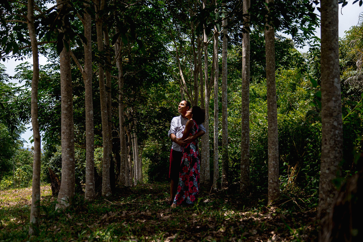 foto de ensaio fotografico nos eucaliptos na bahia