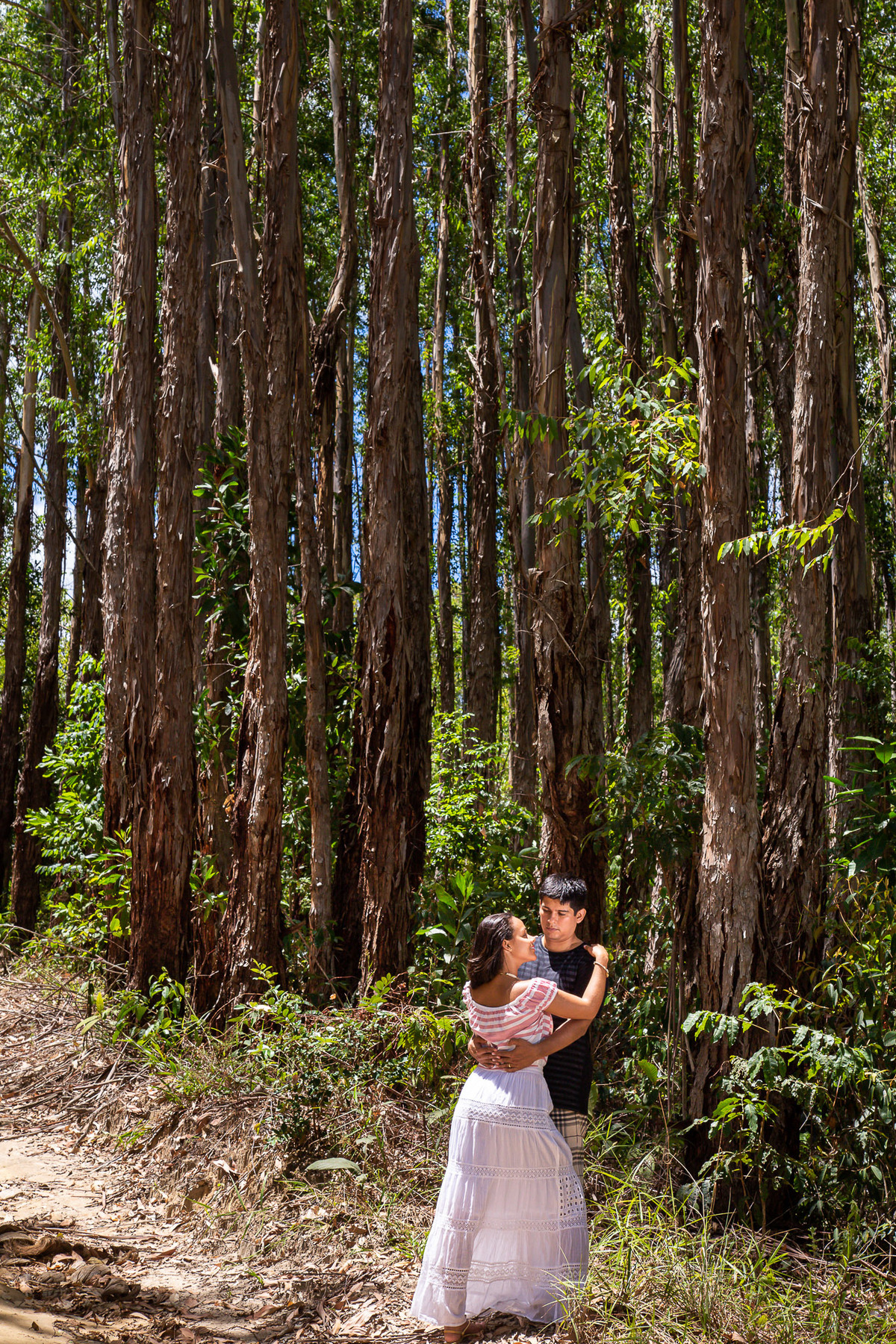 foto nos eucaliptos na linha verde bahia