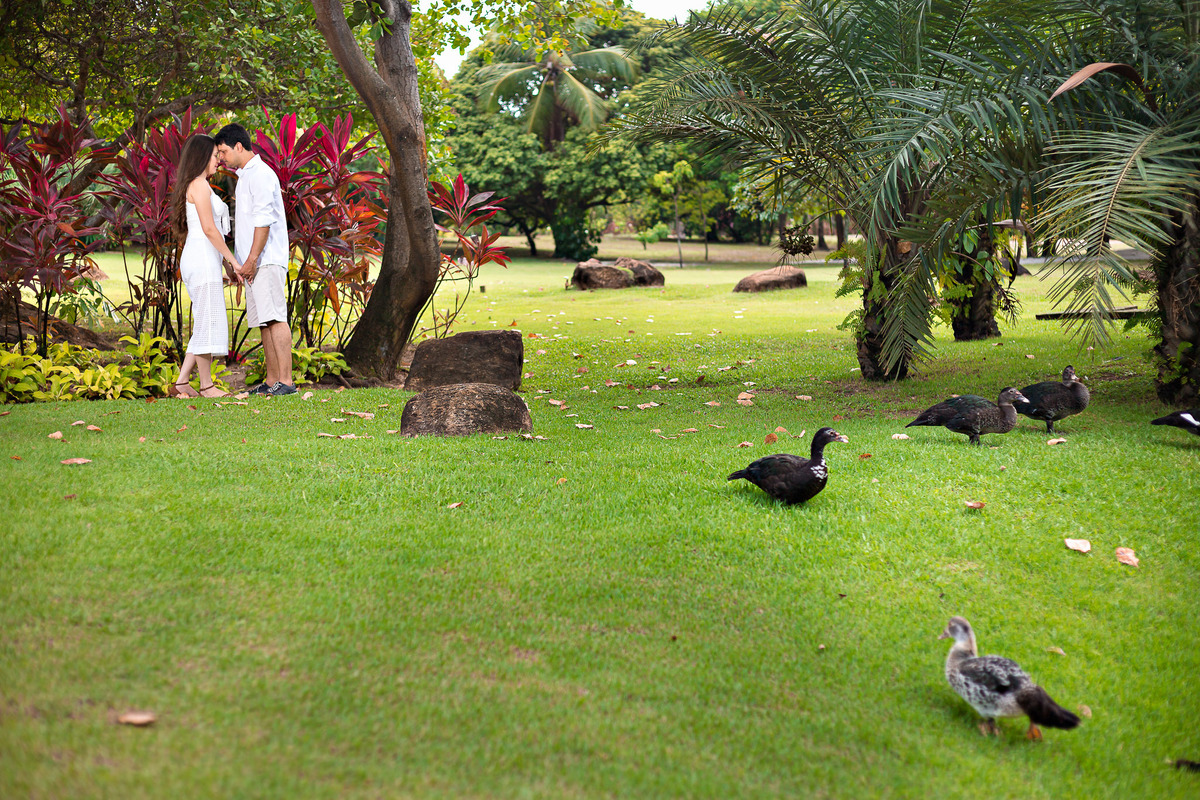 Ensaio pré casamento no jardim na praia do forte salvador