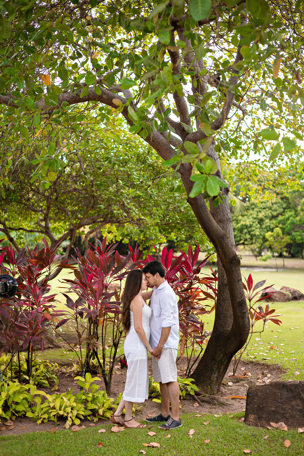Foto ensaio pré casamento em área verde em salvador