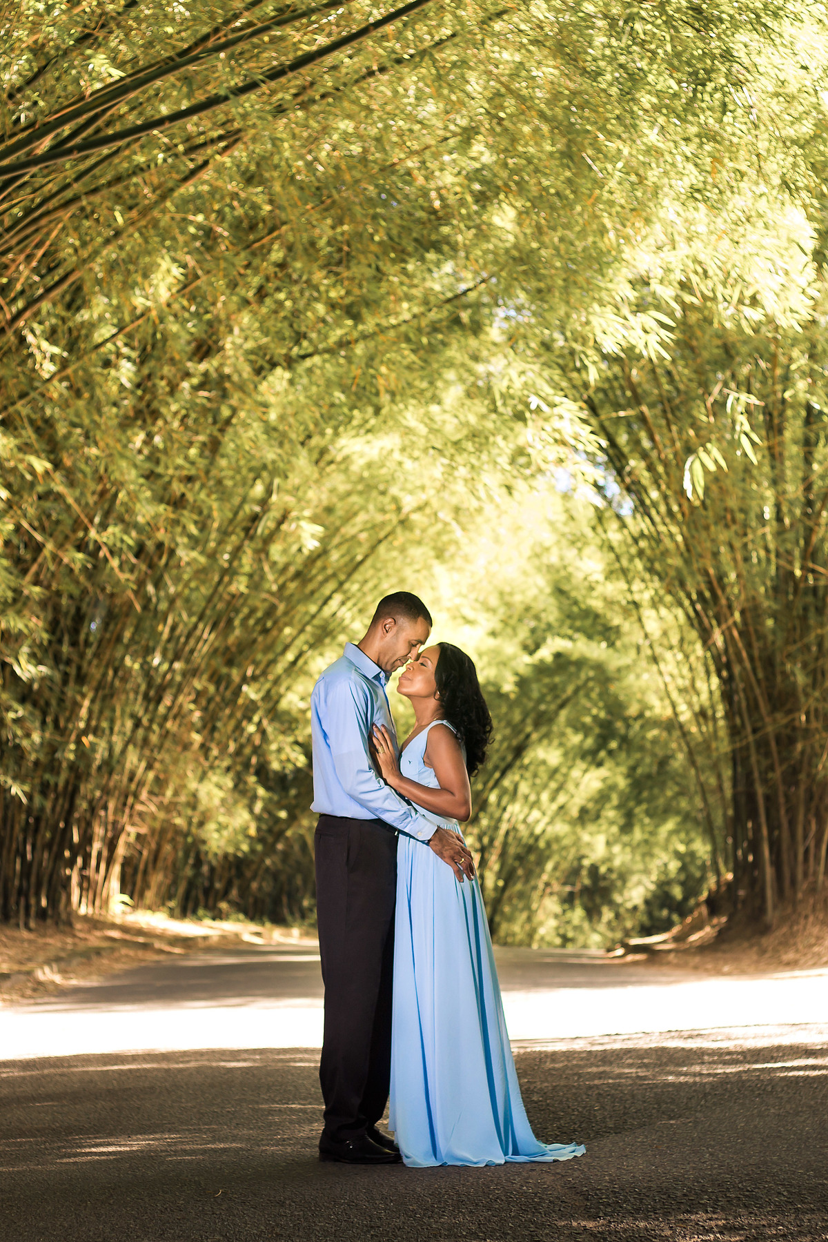 ensaio fotográfico no bambuzal salvador