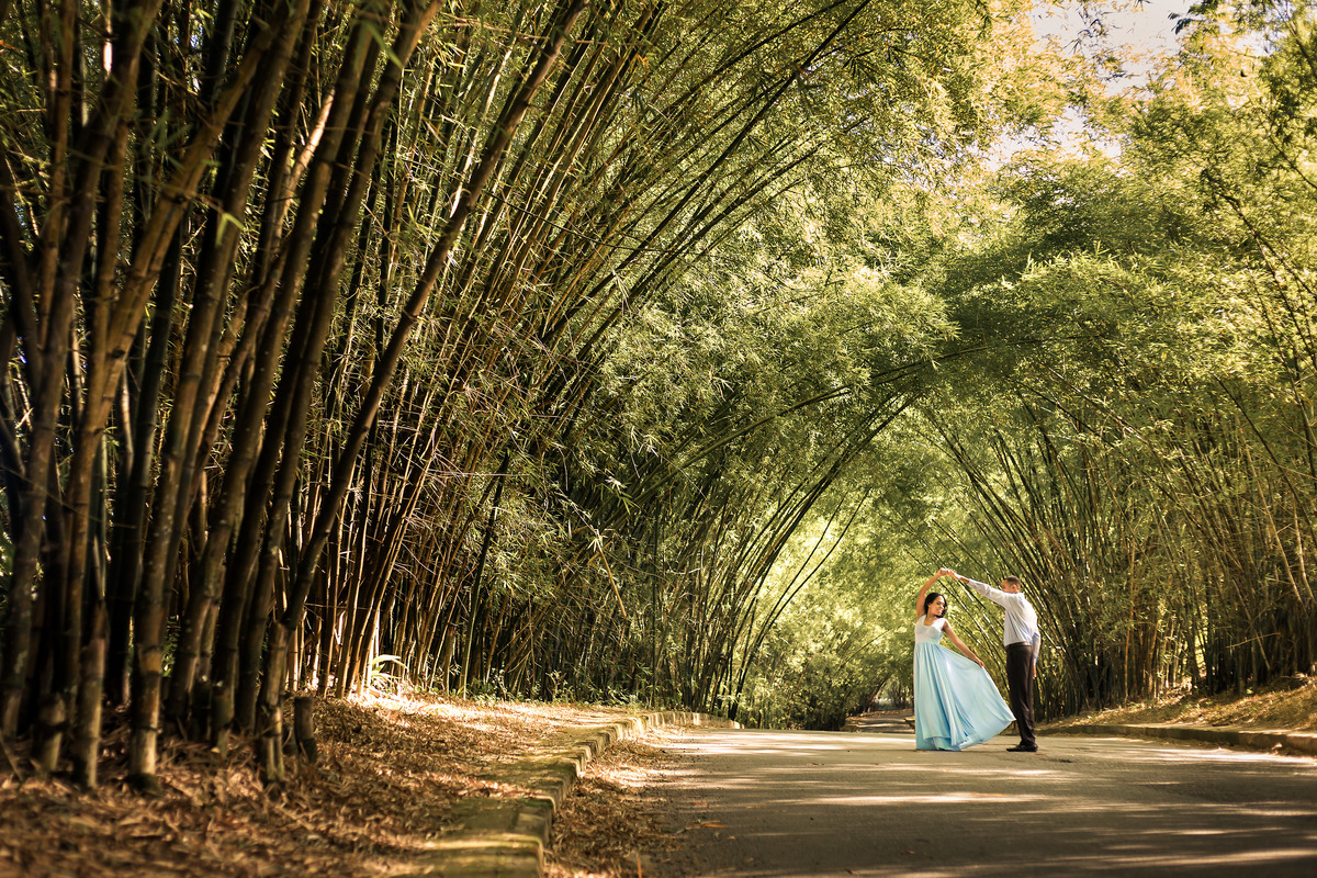 ensaio fotográfico no bambuzal salvador