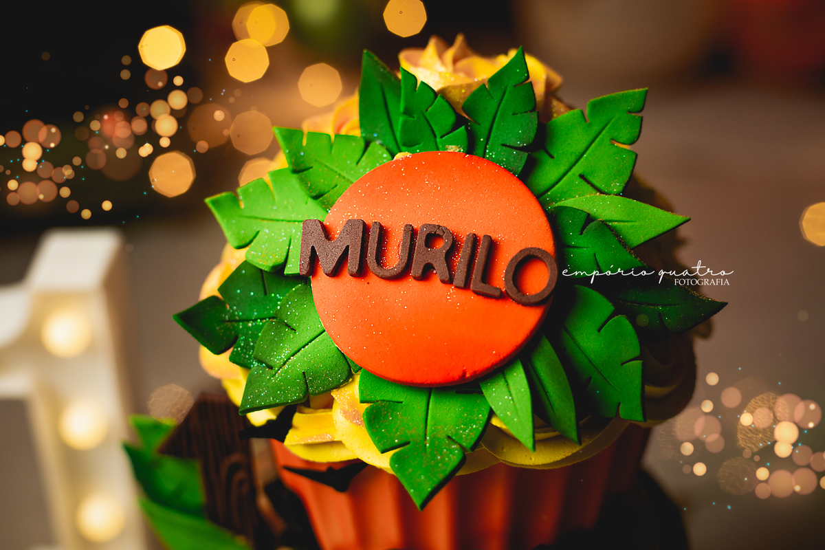 Ensaio de bebe O Rei Leão