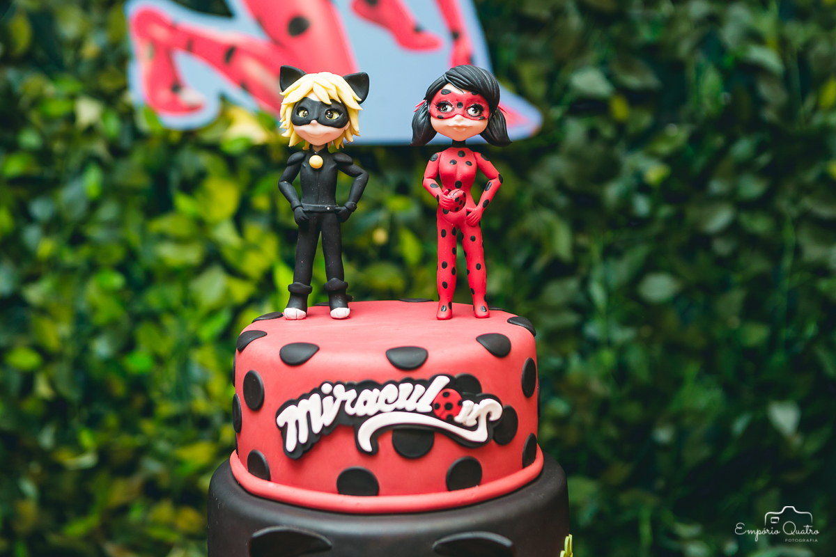 bolo de aniversário ladybug catnoir