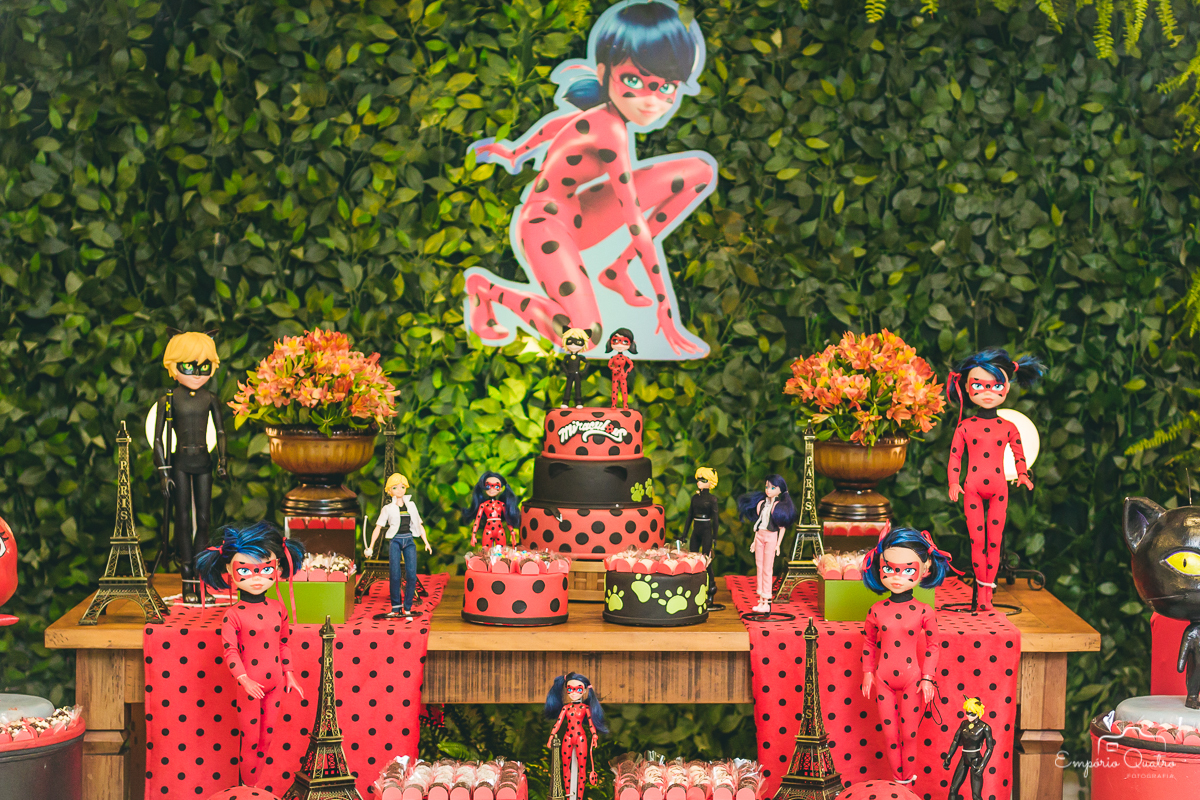 fotografia de aniversário tema ladybug e catnoir 