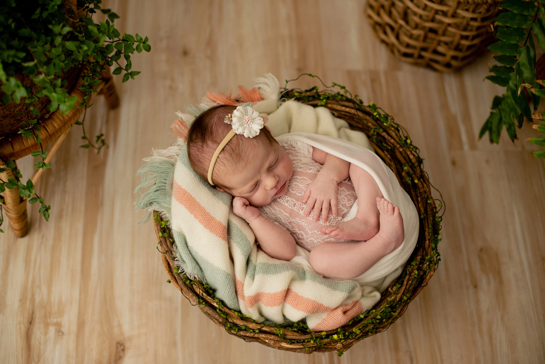 ensaio recém nascido Florianópolis newborn gestante fotografia book grávida, estúdio seeds