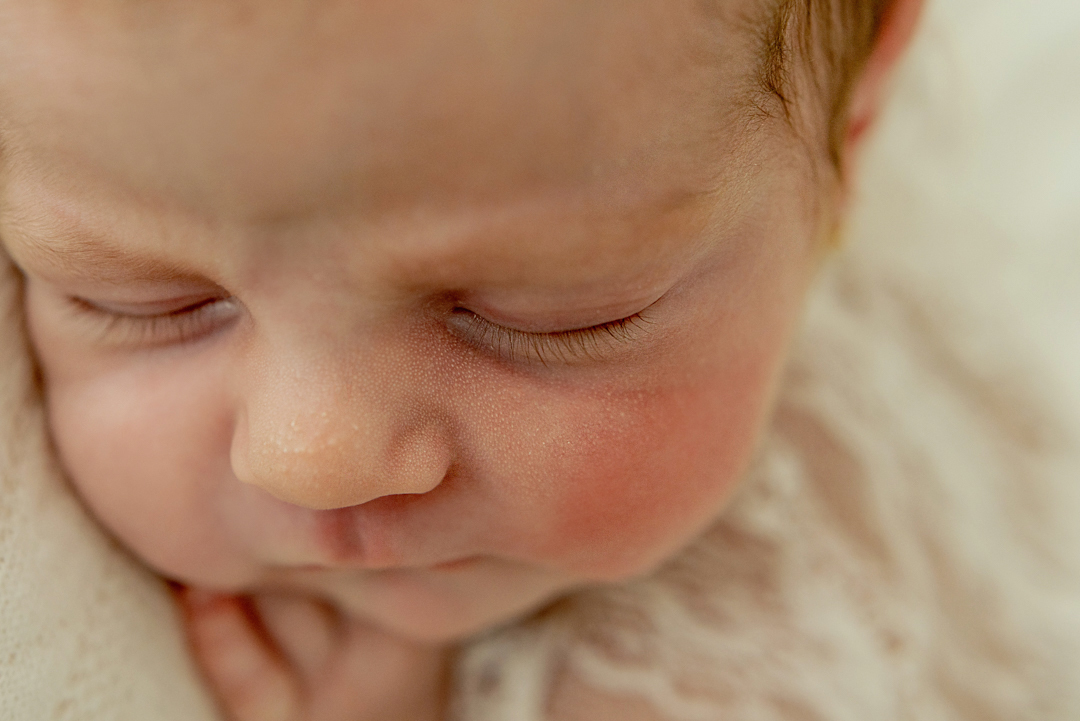 ensaio recém nascido Florianópolis newborn gestante fotografia book grávida, estúdio seeds
