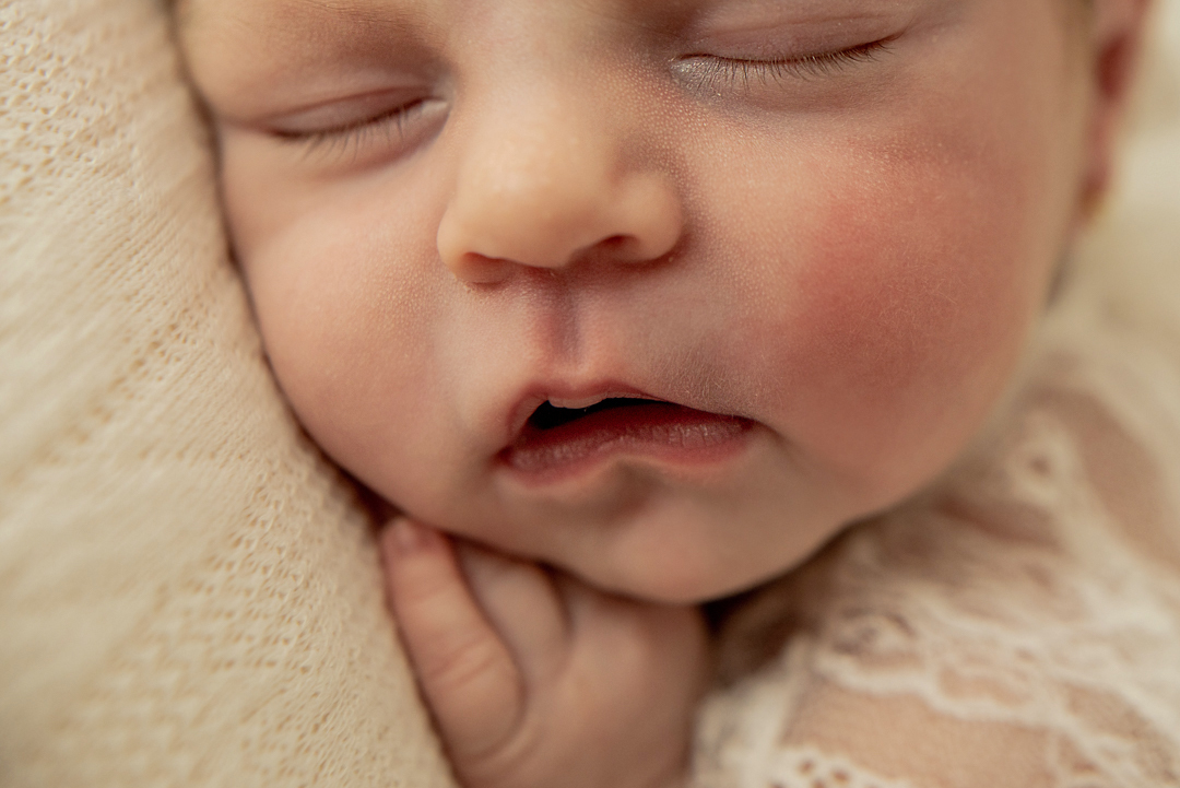 ensaio recém nascido Florianópolis newborn gestante fotografia book grávida, estúdio seeds