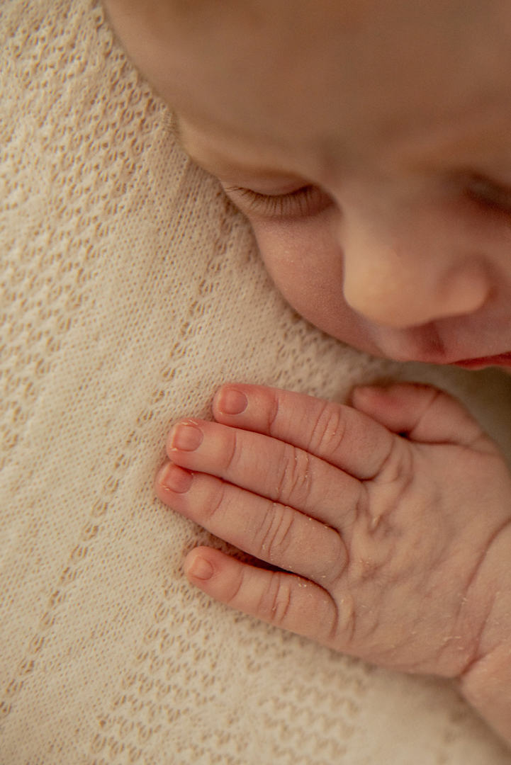 ensaio recém nascido Florianópolis newborn gestante fotografia book grávida, estúdio seeds