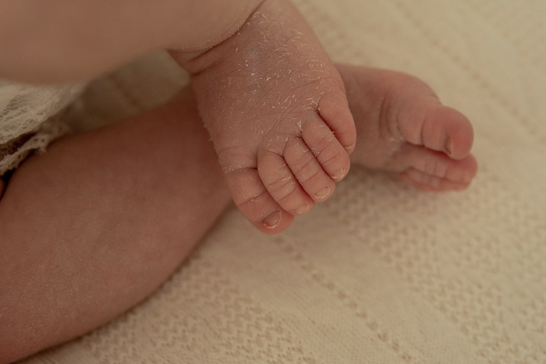 ensaio recém nascido Florianópolis newborn gestante fotografia book grávida, estúdio seeds