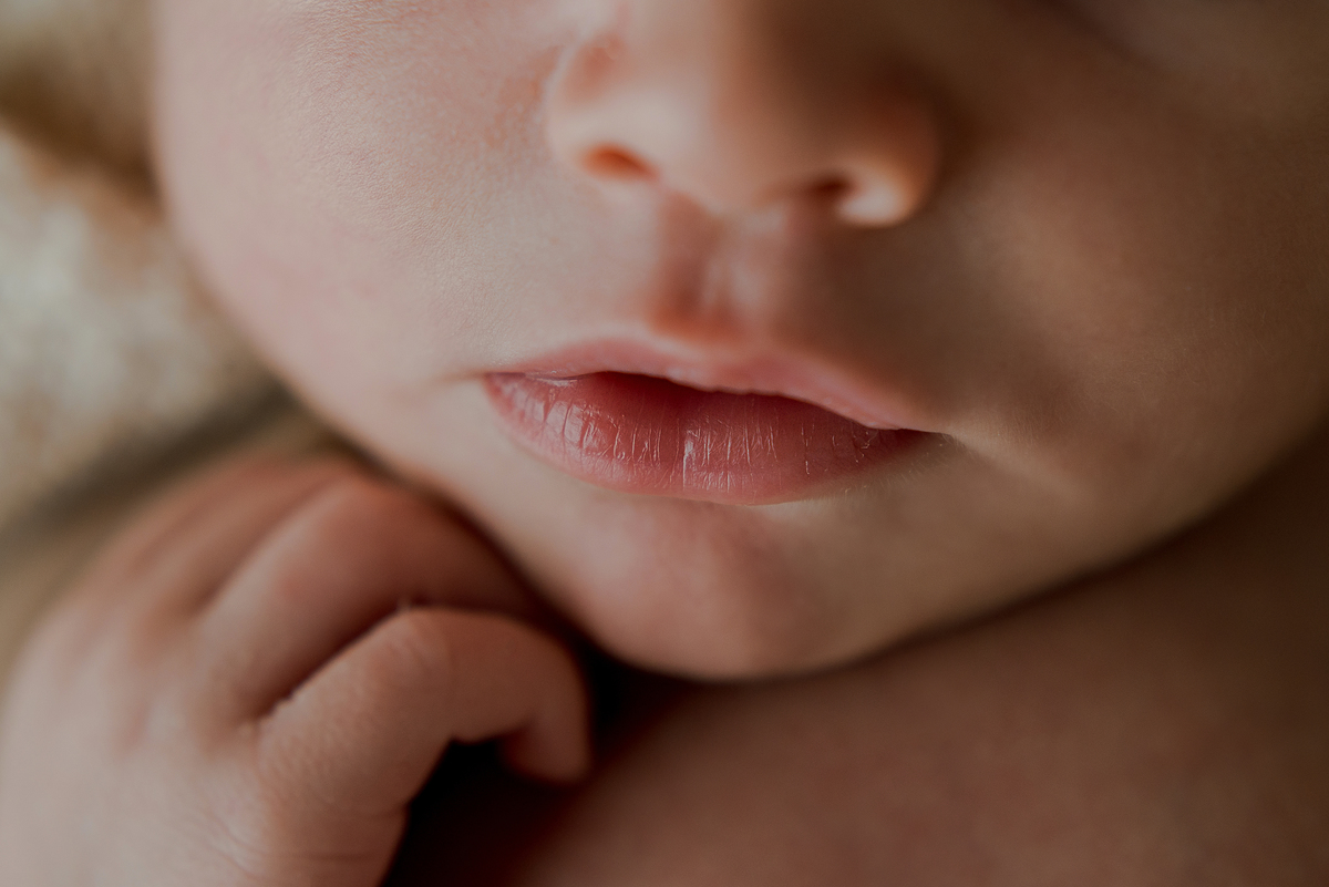 ensaio recém nascido Florianópolis newborn gestante fotografia book grávida, estúdio seeds