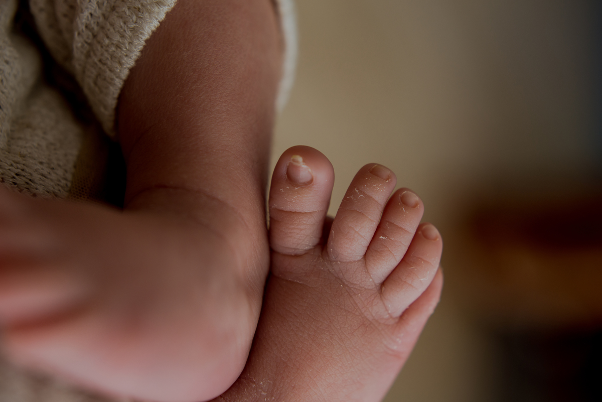 ensaio recém nascido Florianópolis newborn gestante fotografia book grávida, estúdio seeds