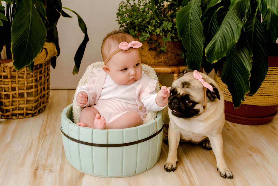 ensaio infantil Florianópolis, Santa Catarina, acompanhamento infantil, acompanhamento infantil Florianópolis, estúdio seeds, fotografia de gestante Florianópolis