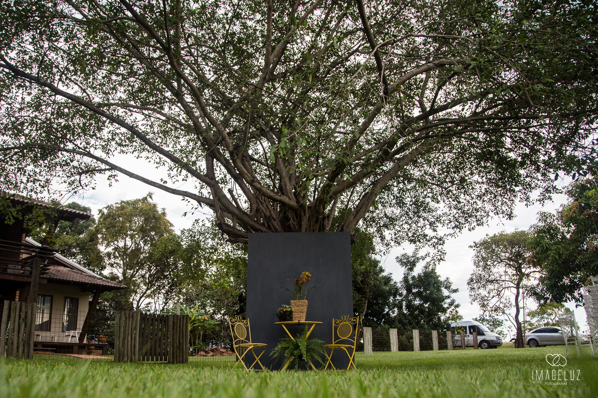 Arvore decorada para casamento
