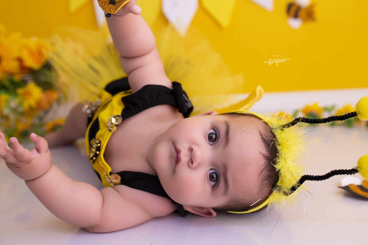 ensaio de abelha em caxias do su-rs