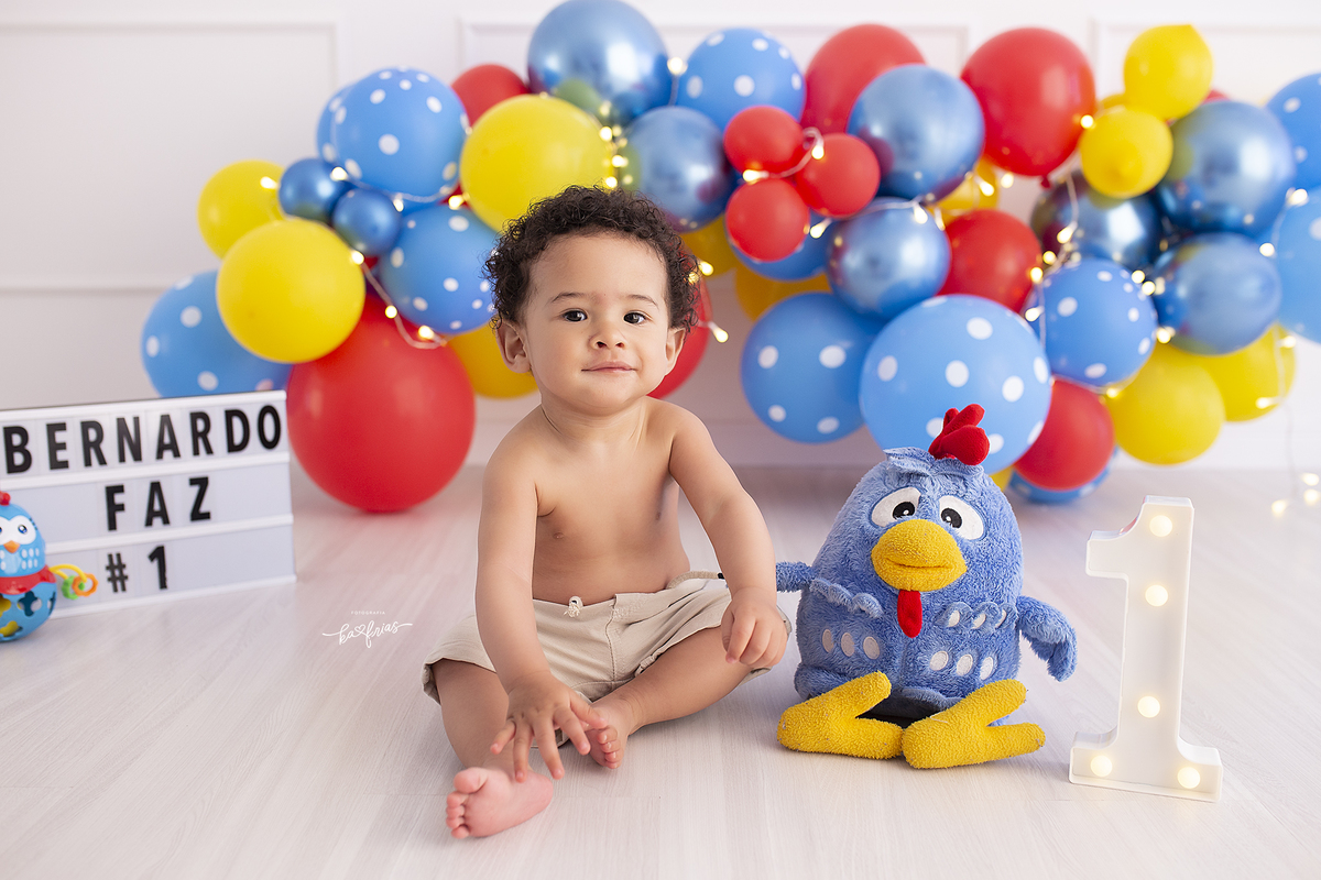 o tema do ensaio era galinha pintadinha