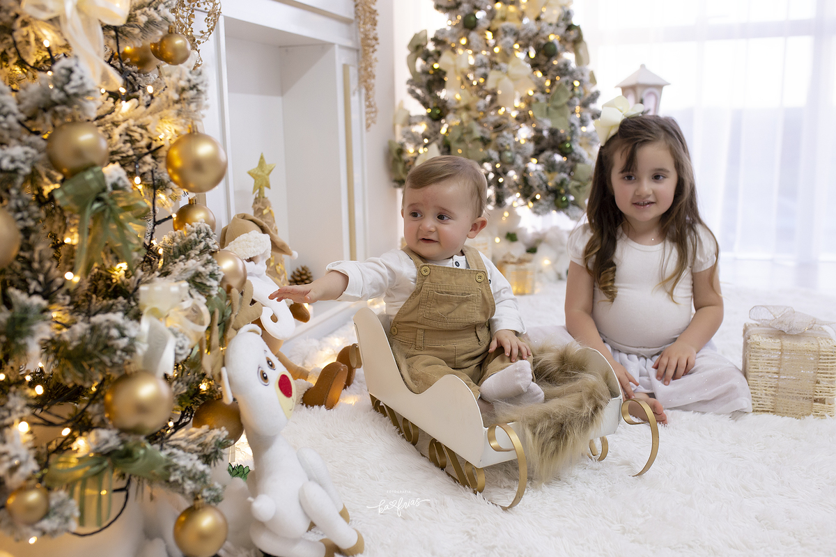 os irmaos posam para a fotografa de caxias do sul-rs